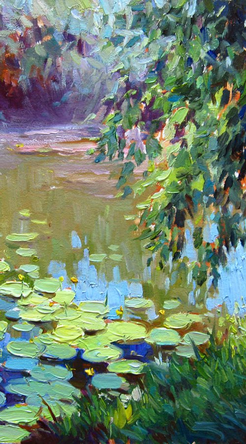 Water Lily Lake by Vladimir Lutsevich