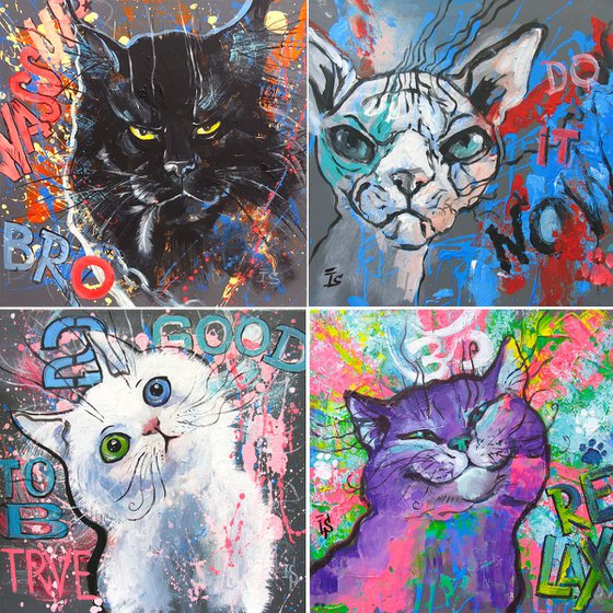 CATS Series