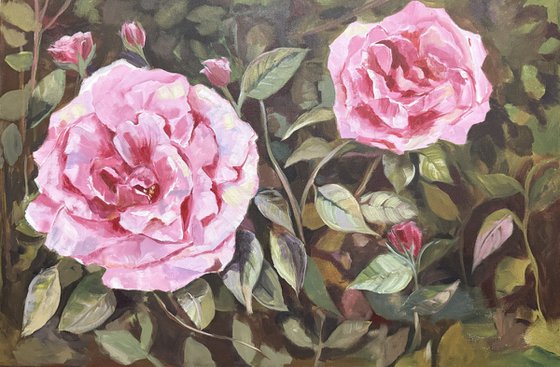 Where roses gather