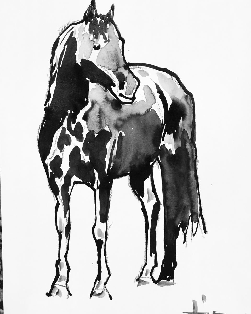 Black Horse 3 by Dominique Deve