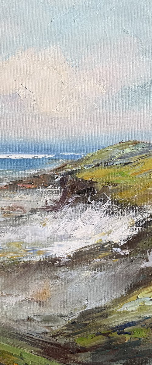 Phillip Island No 8 by Liliana Gigovic