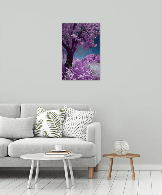Purple nature