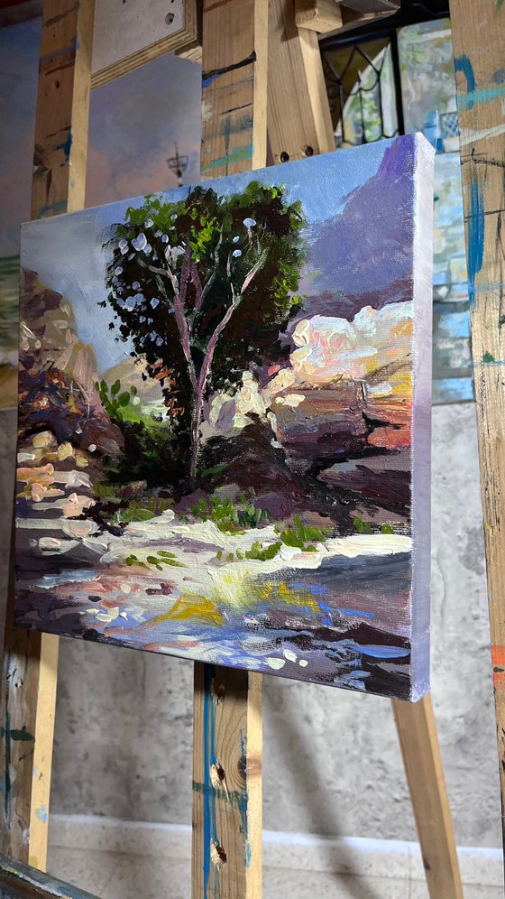 Nahal Prat #2