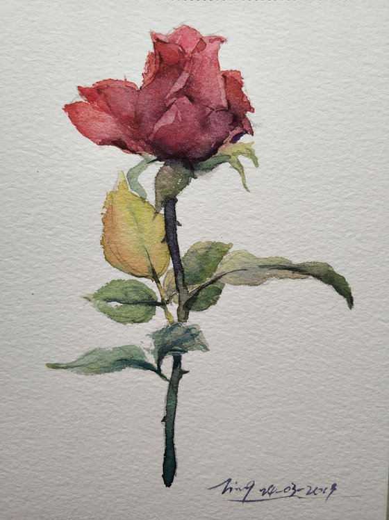 Rose 6