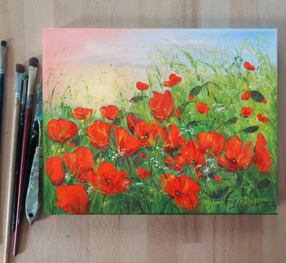 Poppy field in summer 3