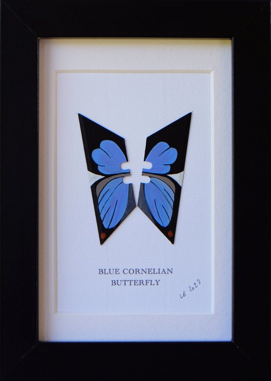 Blue Cornelian butterfly