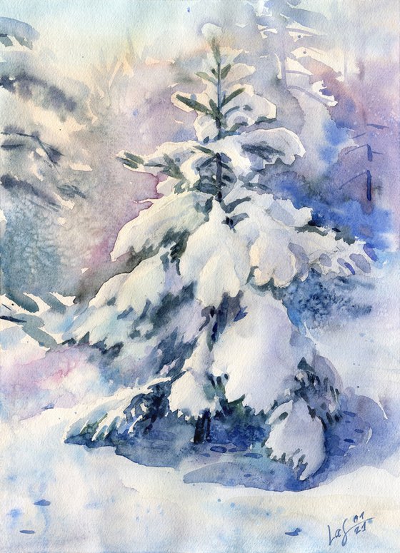 Spruce in the snow, winter