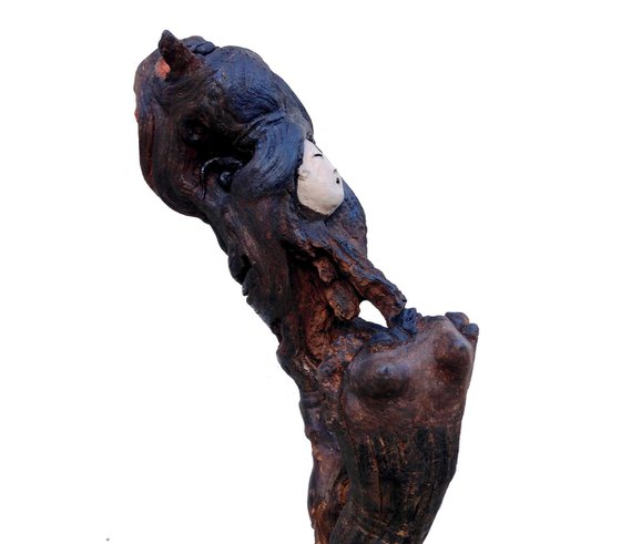 NAOMI, Ostreïdes séries