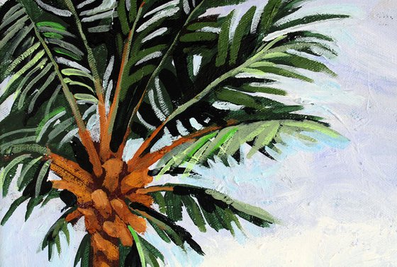 Under a Palm