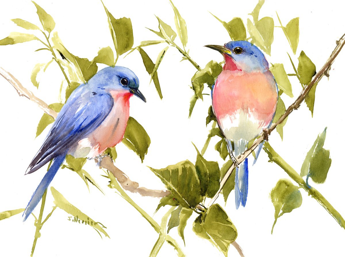 Bluebirds by Suren Nersisyan