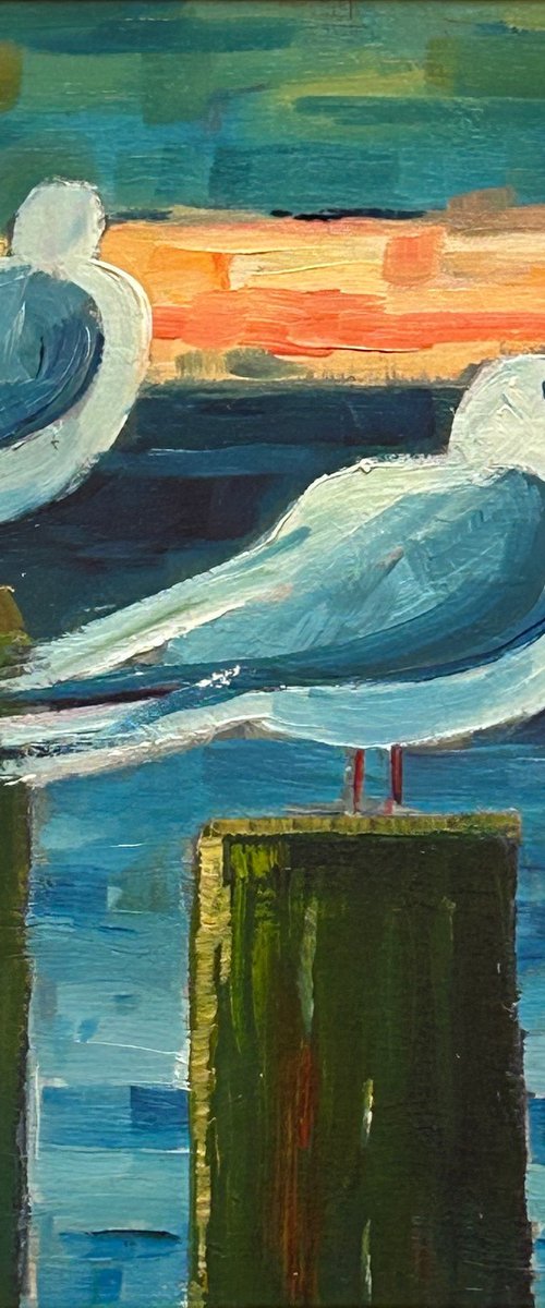 Solway Gulls by Robert Wells