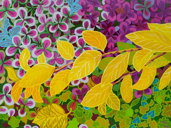 Autumn Color