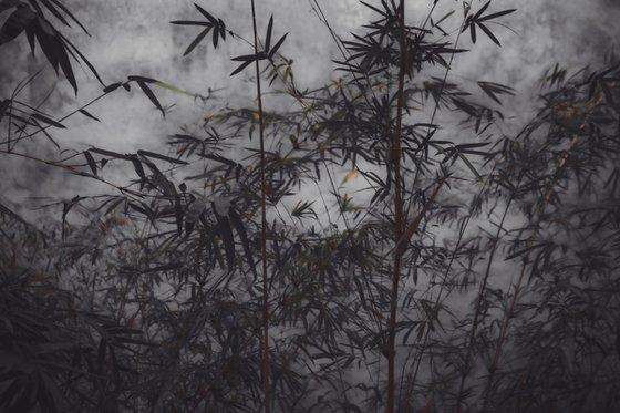 (FRAMED) The power of simplicity II