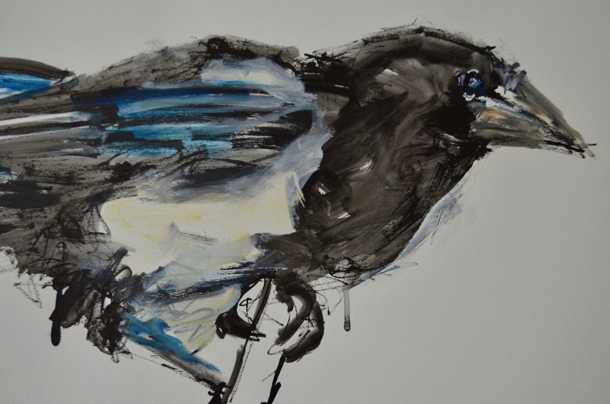 Magpie Study by Michelle Parsons