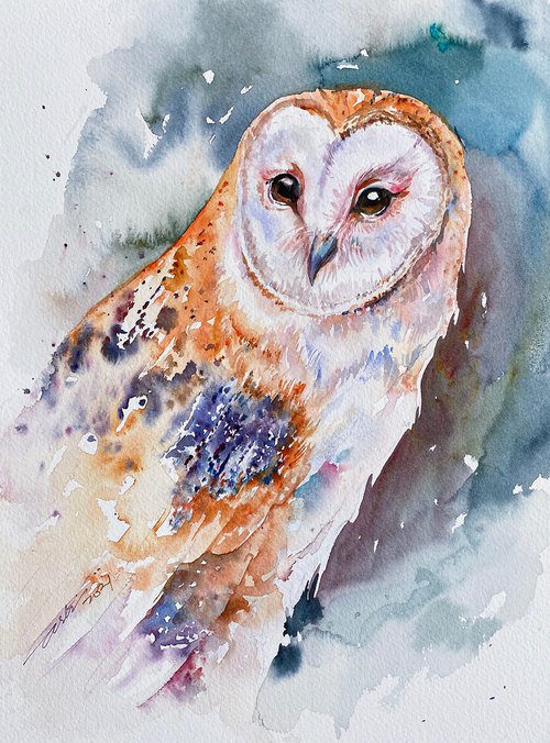 Barn Owl Beeley by Arti Chauhan