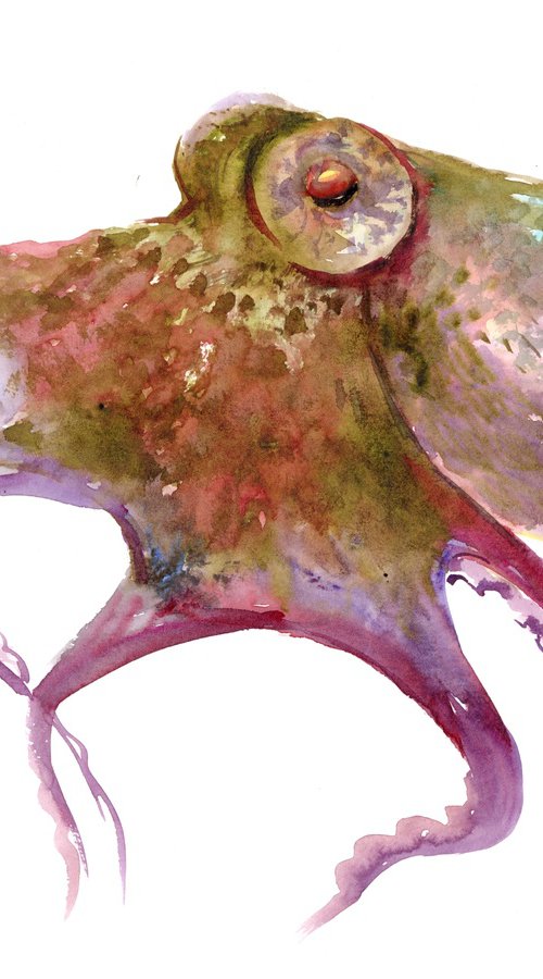 Octopus, olive green pink shade by Suren Nersisyan