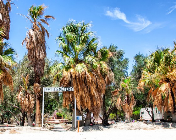 PET CEMETERY 2 Palm Springs CA