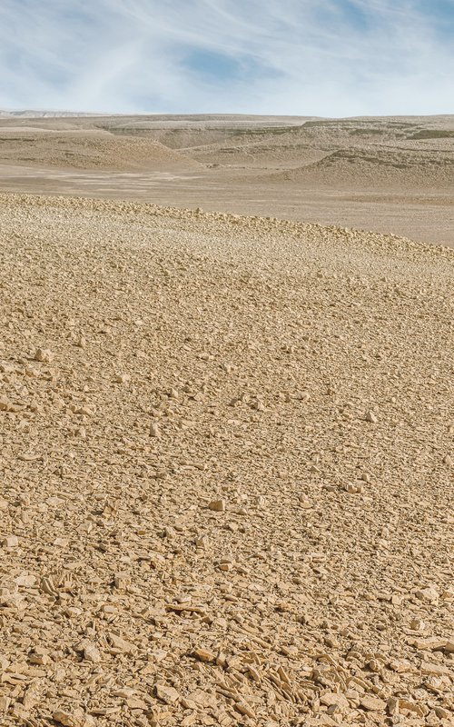 Аlone with the Desert by Lidiya Dmitrieva