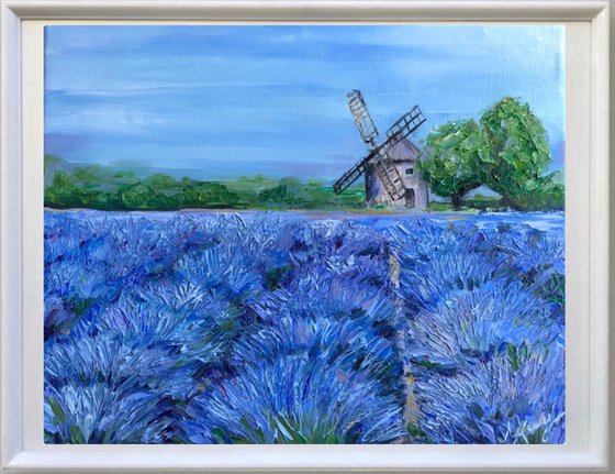 Provence Lavender Field landscape oil painting 22x28cm