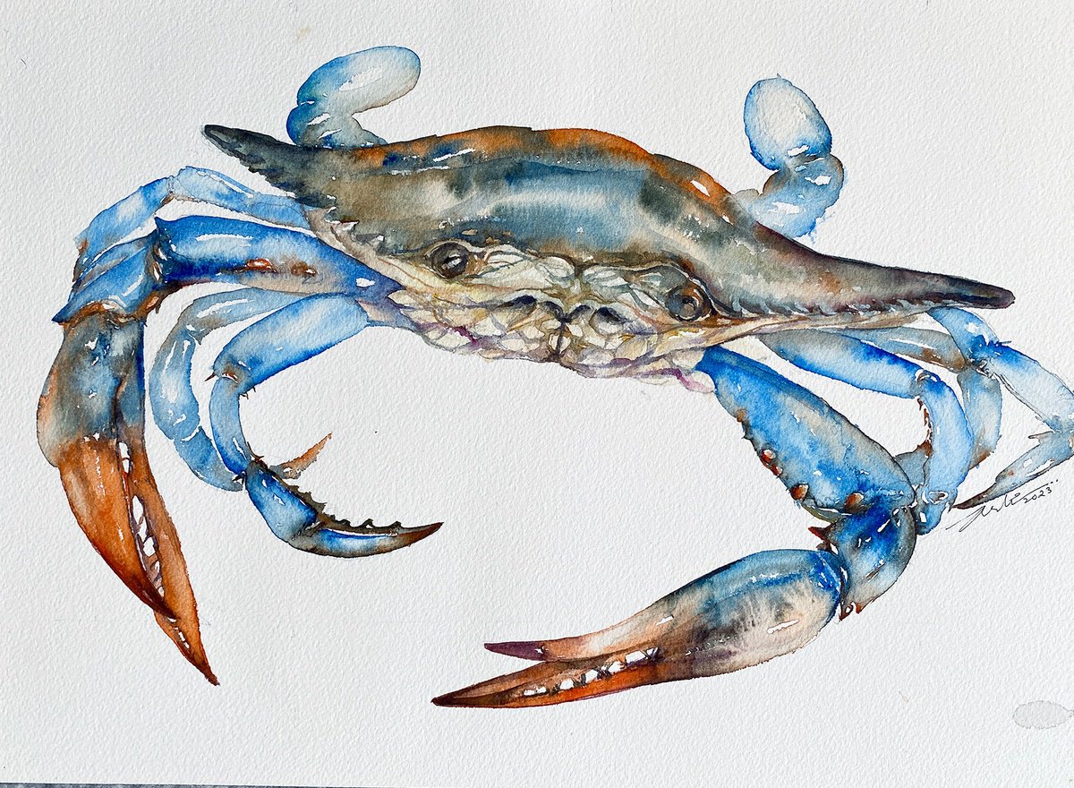 Blue Crab Crawly by Arti Chauhan