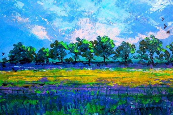 Lavender Fields II