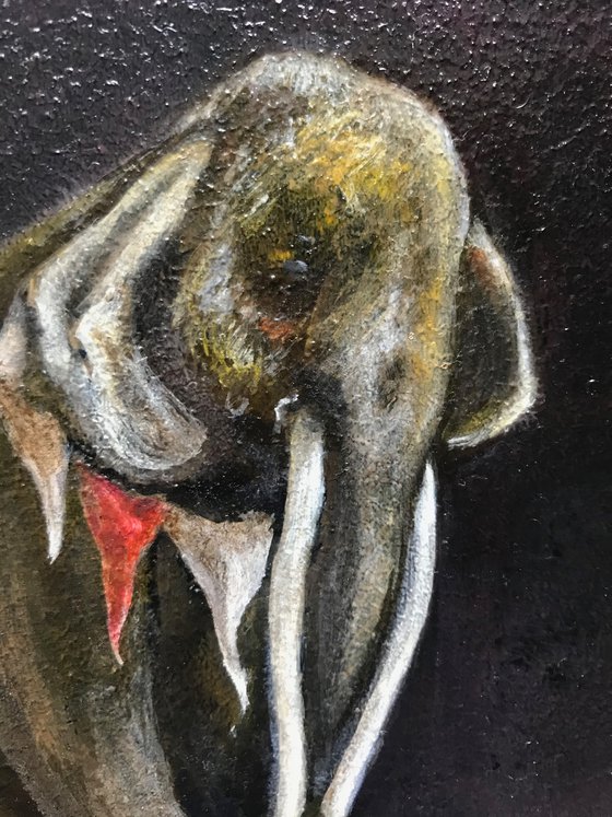 Circus Elephant