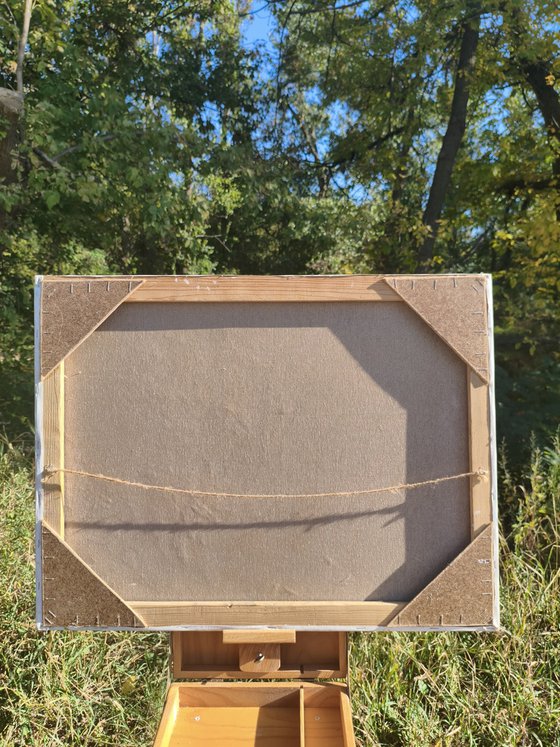 Marigolds in a clay pot