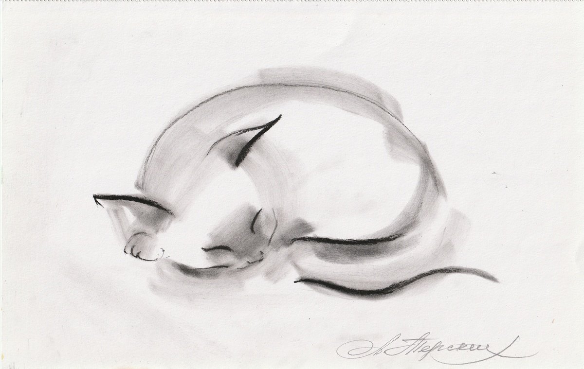 Animal Charcoal Drawing By Anastasia Terskih, 12 X 7, Cat, Original Artwork