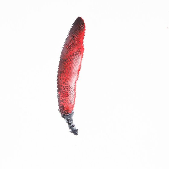 cone