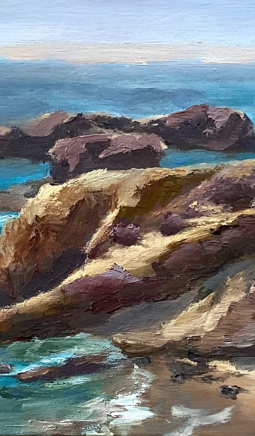 Crystal Cove Coast by Grace Diehl