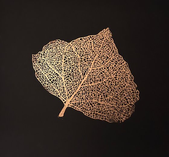 Skeleton Leaf I