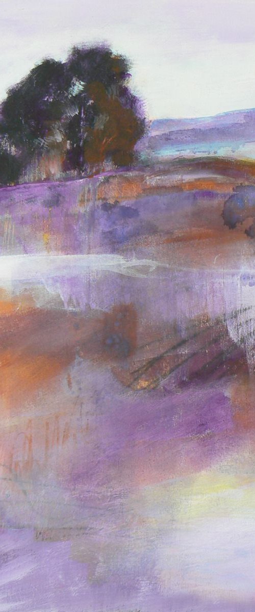 Terra firma by Carolynne Coulson