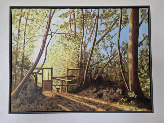 Evening Light on a Sussex Footpath