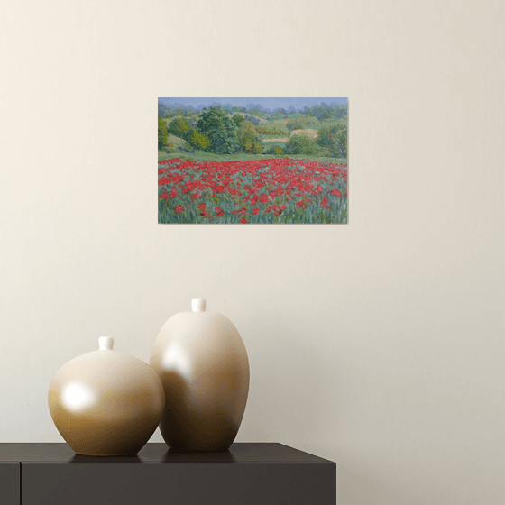 Field of poppies in Tuscany