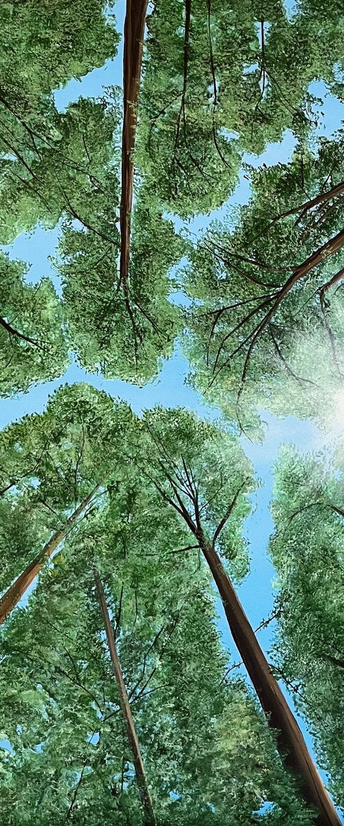 Heaven's Eye by Victoria Obolensky