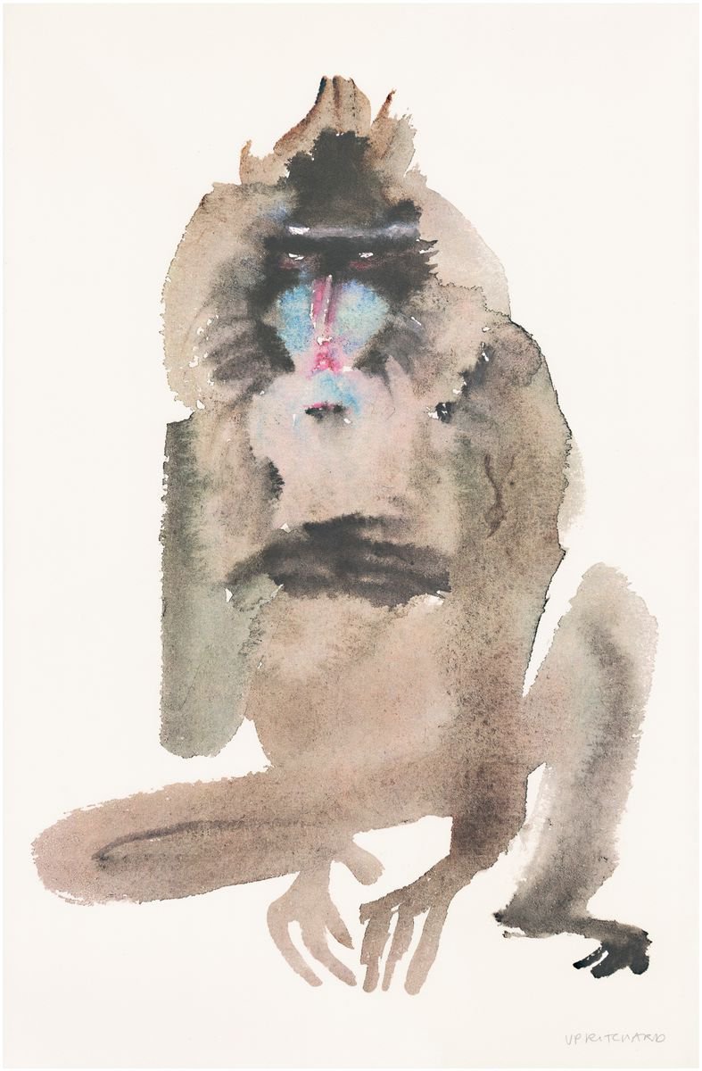 Surly Baboon by Frances Upritchard