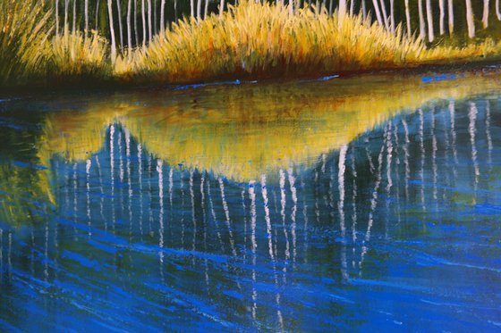 The Mirror of trees