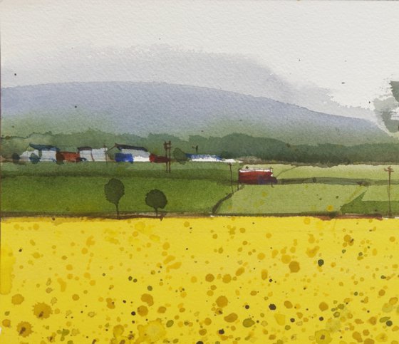 Yellow green composition 7