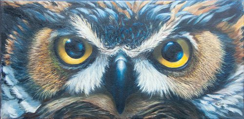 Owl eyes by Norma Beatriz Zaro