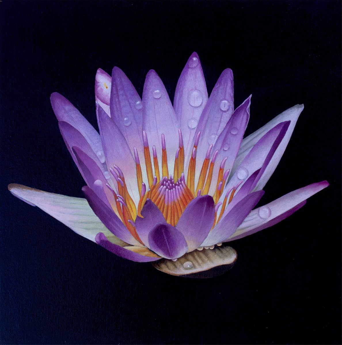 Lotus Crown by Dietrich Moravec