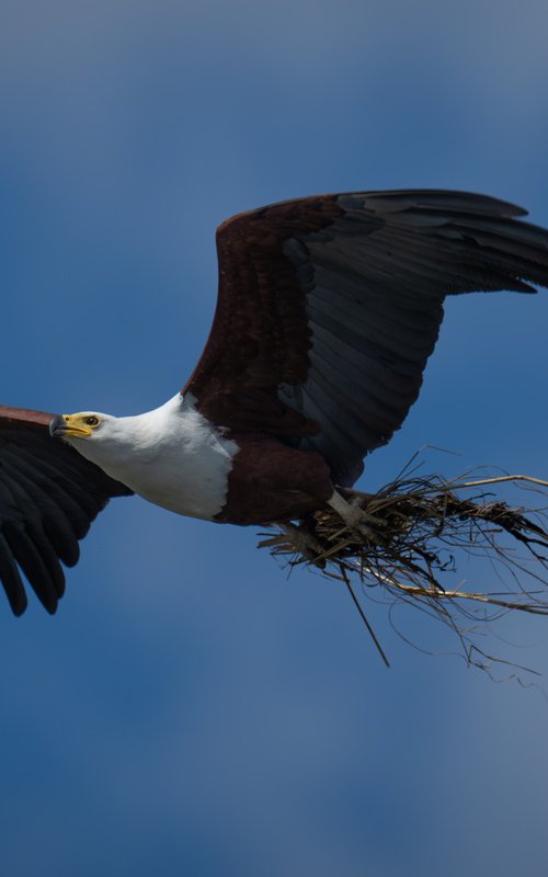 Nesting by Nick Dale