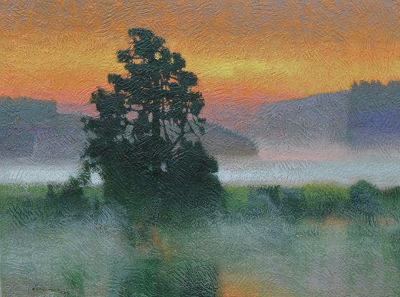 Evening Light