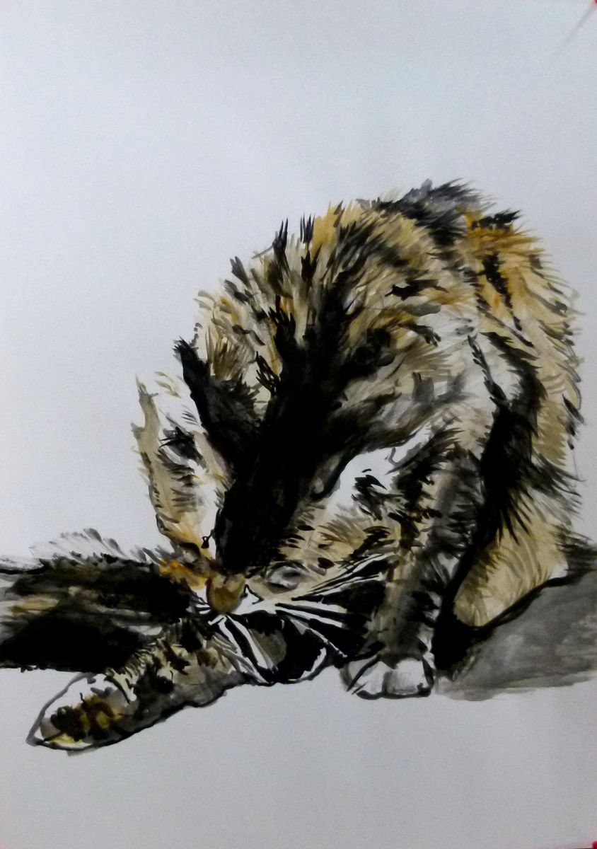 Cat by Soso Kumsiashvili