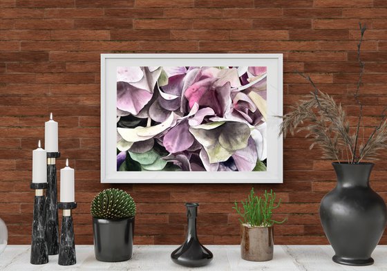 Hydrangea Bouquet