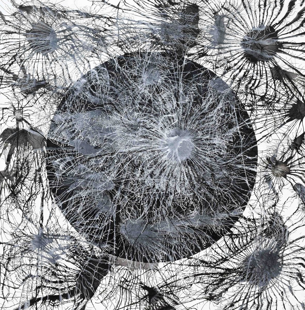 Abstract Acrylic Painting By Sumit Mehndiratta, 44 X 44", Exploflora Series No. 15, Original Artwork