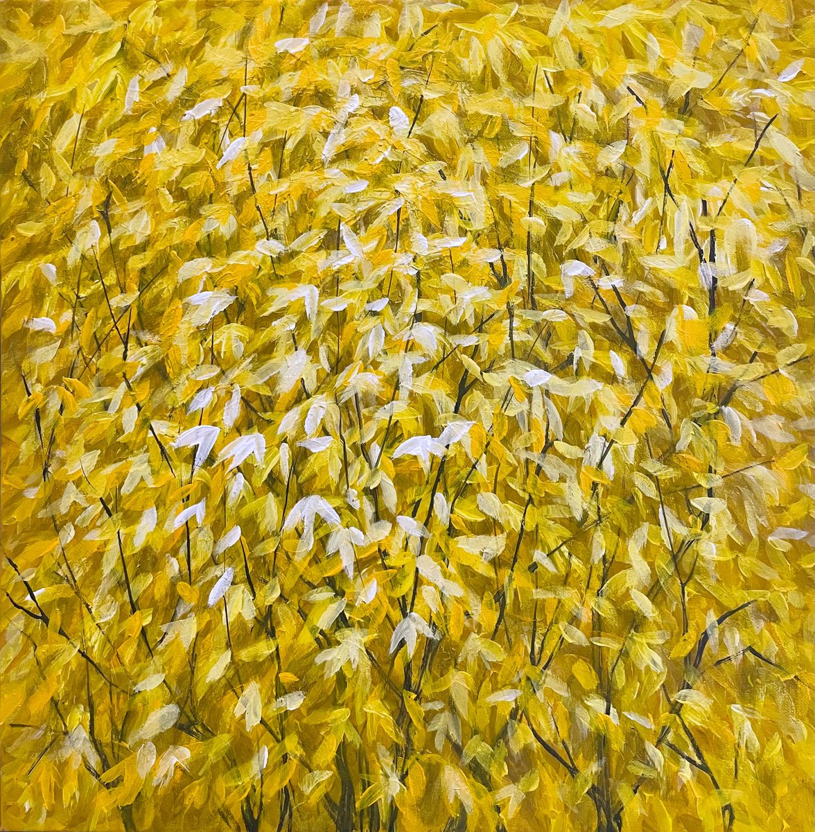  Golden Rain - ? The First Rays Of Spring By Oksana Vasylyeva, 20 X 20, Artwork For Sale On Artfinder