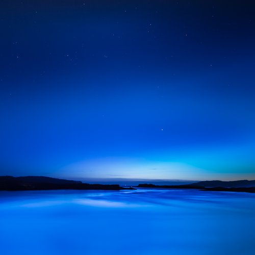 Twilight Blue by Lynne Douglas