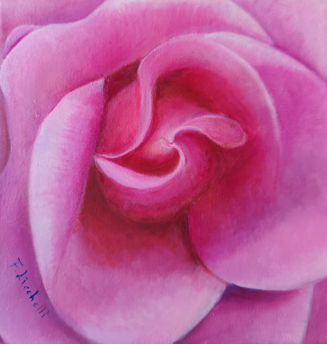 Rose by Francesca Licchelli