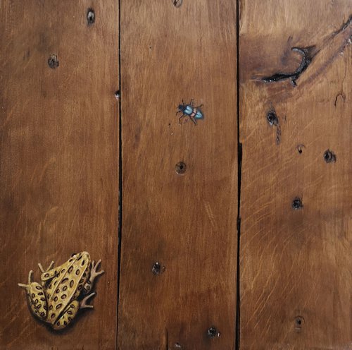 Frog and beetle on recycled wood by Mike Skidmore