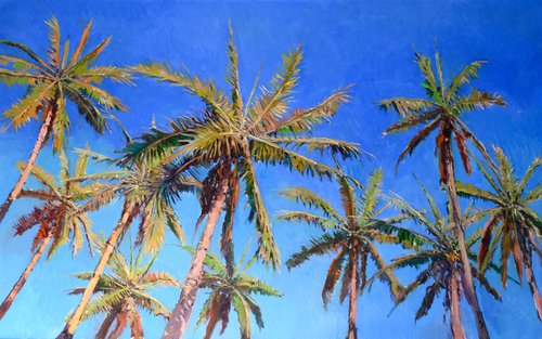 Coconut Palm Trees from Florida by Suren Nersisyan
